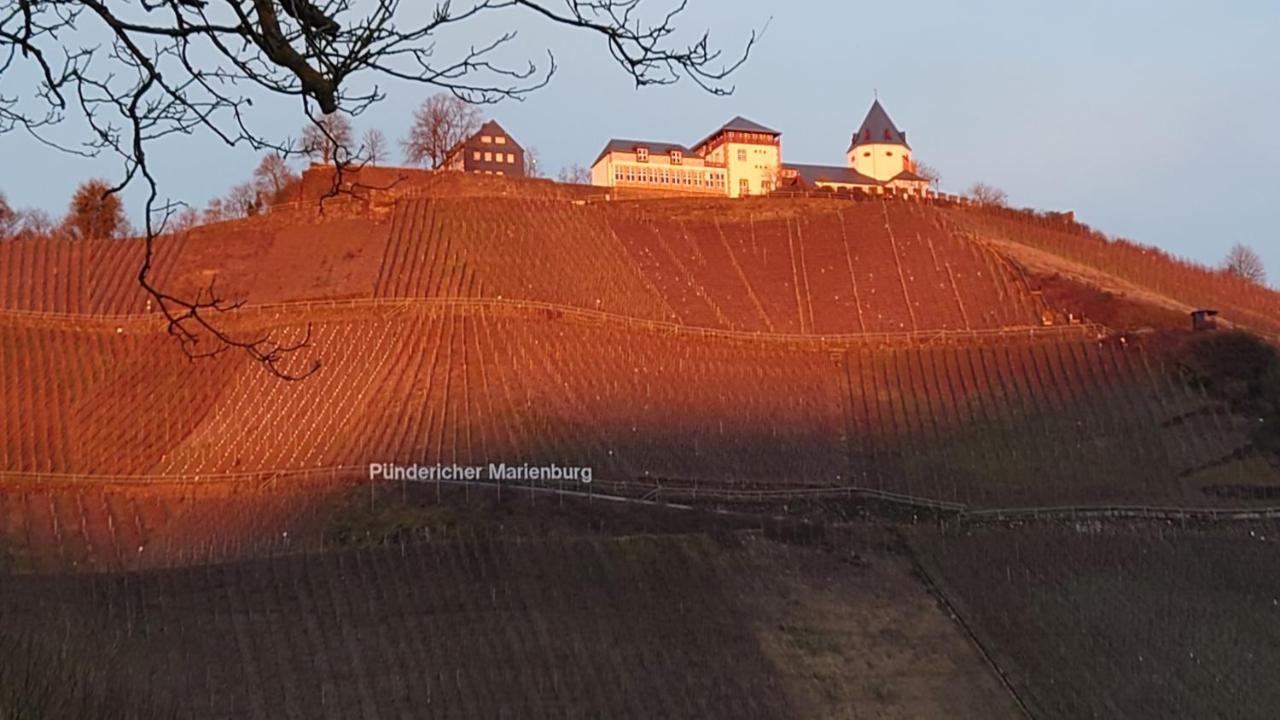 Moselblick Apartamento Pünderich Exterior foto